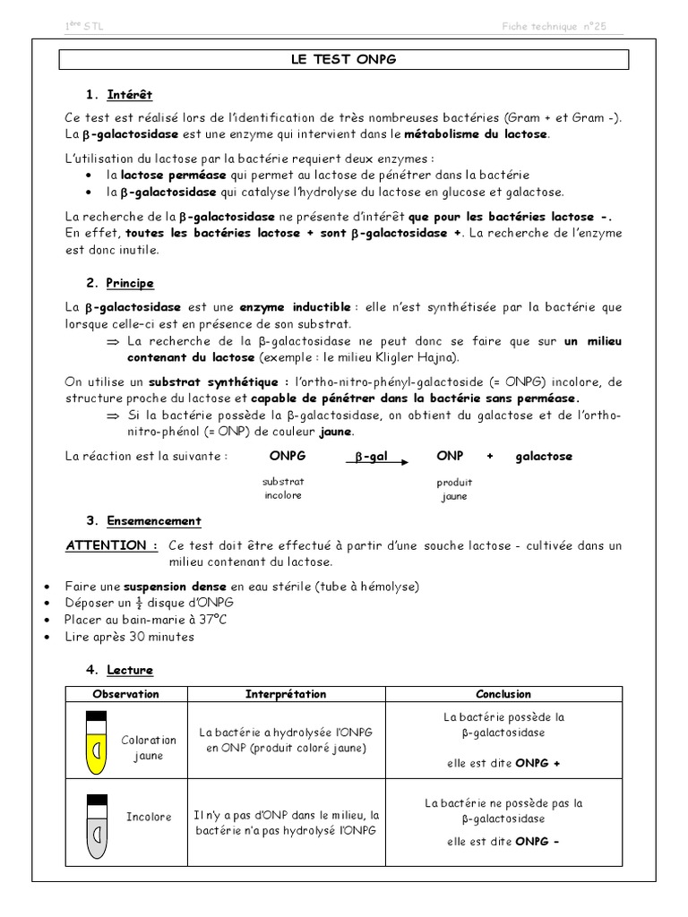 Test ONPG pour l'identification bactérienne | PDF | Enzyme | Bactérie