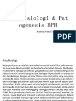 Patofisiologi BPH Li5
