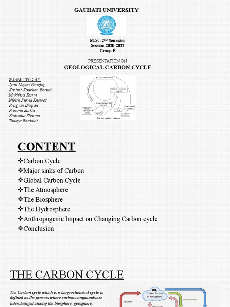 Geological Carbon Cycle Overview | PDF | Carbon Cycle | Carbon Dioxide