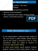 Shelter Wood System
