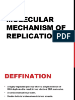 Molecular Mechanism of Replication