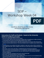SEIP Workshop Problem Definition