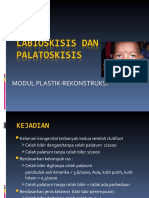 Labioskisis Dan Palatoskisis