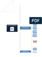 Mapa Conceptual Salud Ambiental
