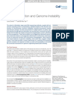 Haploid Induction and Genome Instability: Review