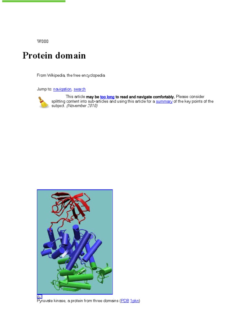 Wikipedia Readings On Life Evolutionary History V2 Protein Domain Beta Sheet