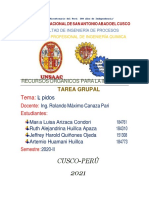 Cusco-Perú 2021: Tema