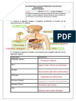 Quinto-Digestivo-y-Nutrientes 5to 