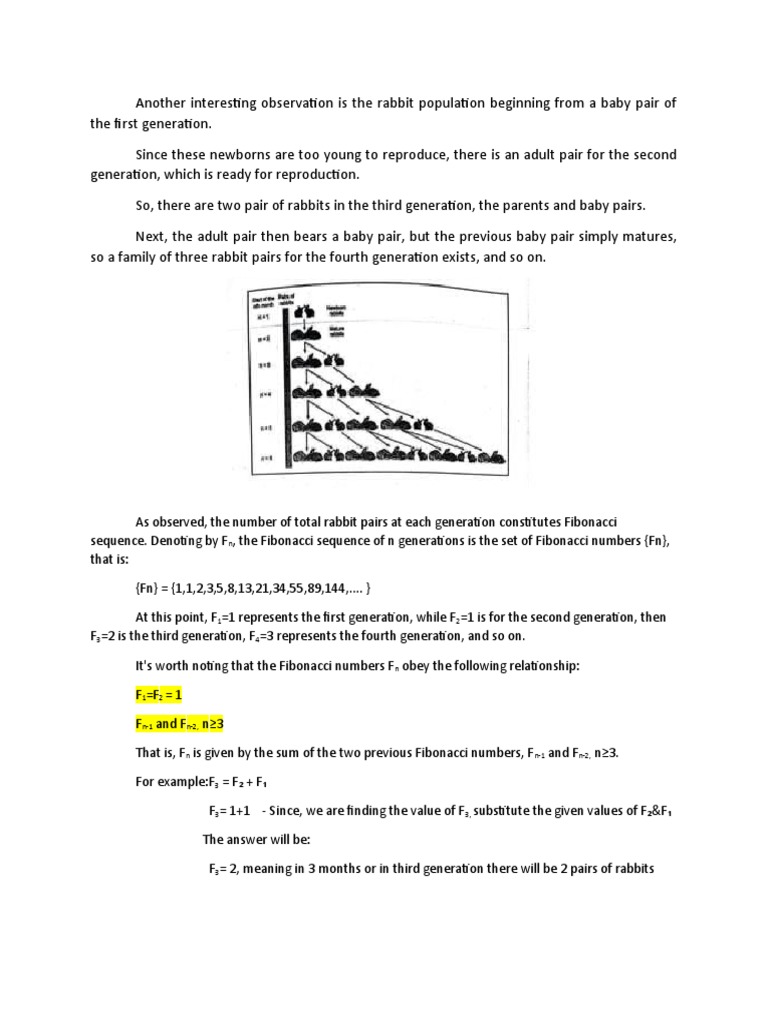 Rabbit Final | PDF | Mathematics | Mathematical Objects