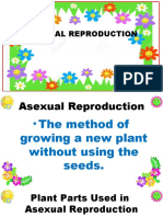 Asexual Reproductionq2wk5d3