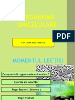 Organisme Unicelulare