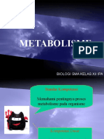 Metabolisme Enzim