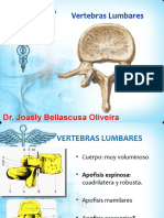 Slide 7 - Vertebras Lumbares, Hueso Sacro y Coccix - Anatomia - DR Joasly Oliveira - 1sem - 02-03-21