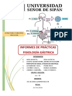 Informe de Prácticas Gastro 1.1-b