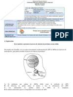 Guia-Repaso de Genetica en Tipo Prueba Saber para Undecimo