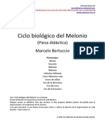 Ciclo biológico del Melonio (Marcelo Bertuccio, 1979)