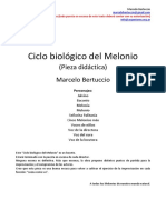 Ciclo Biológico Del Melonio (Marcelo Bertuccio, 1979)