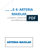 JAVIER ENAO Clase 4 -  ARTERIA MAXILAR