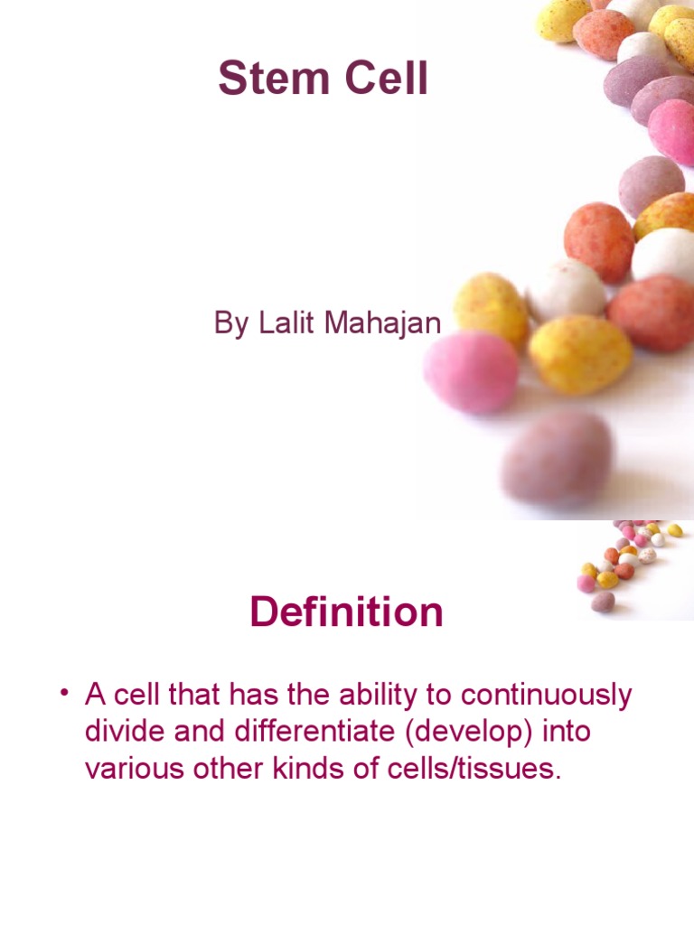Understanding Stem Cells and Their Types | PDF | Stem Cell | Cell Potency