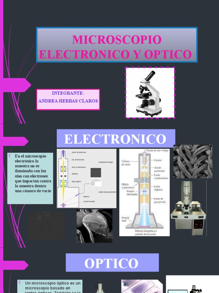 Microscopio Electronico y Optico-1 | PDF
