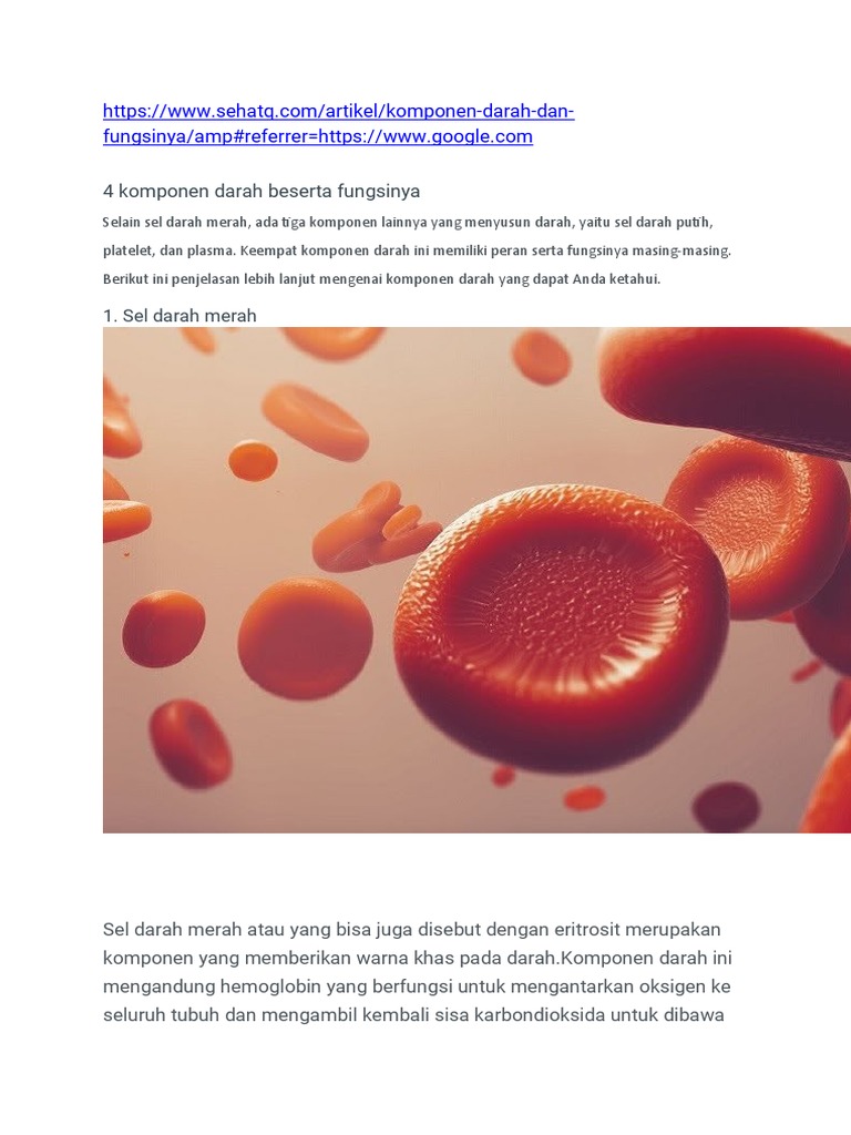 Komponen Darah Beserta Fungsinya Pdf