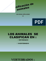 Clasificación de Animales