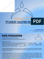 Company Profile Tera PDF