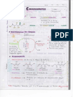 Apuntes Resumen Tema CARBOHIDRATOS