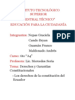 Derechos constitucionales de personas con discapacidad (Art. 47-50