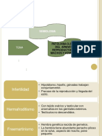 Clinica Del Aparato Reproductor de Animales