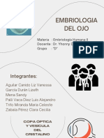 Embriología Del Ojo - Grupo D