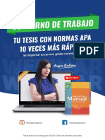 TESIDE - Cuaderno de Trabajo - Webinar APA