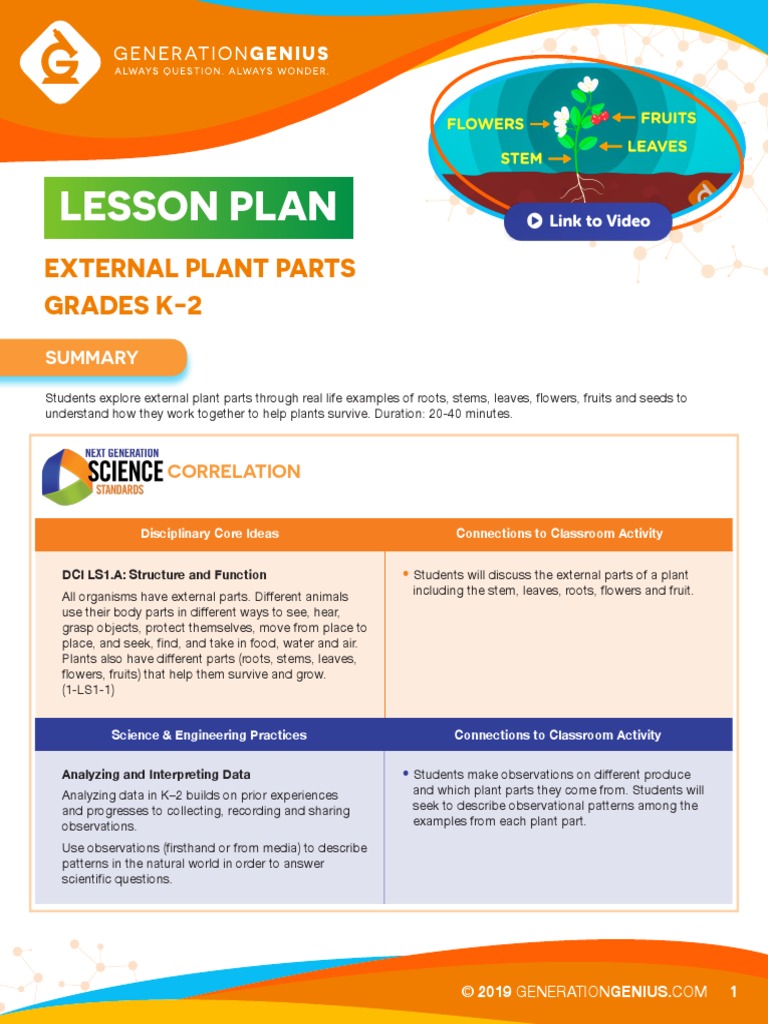 Lesson Plan: External Plant Parts Grades K-2 | PDF | Flowers | Plants