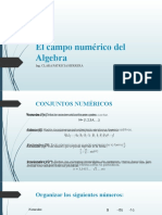 Campo Númerico Del Algebra- Introducción