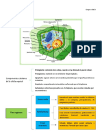 Célula Vegetal