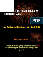 Infeksi Torch DLM Kehamilan-R2