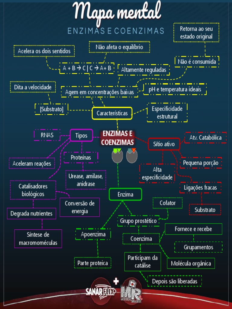 Estrutura Da Enzima De Insulina Humana Azul Em Complexo Com Insulina  Verde-amarela Ilustração Stock - Ilustração de subunidade, degradar:  234501794, image size:768x1024