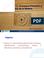 Presentación 4 - Anatomia de La Madera