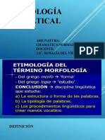 Morfología Exposición