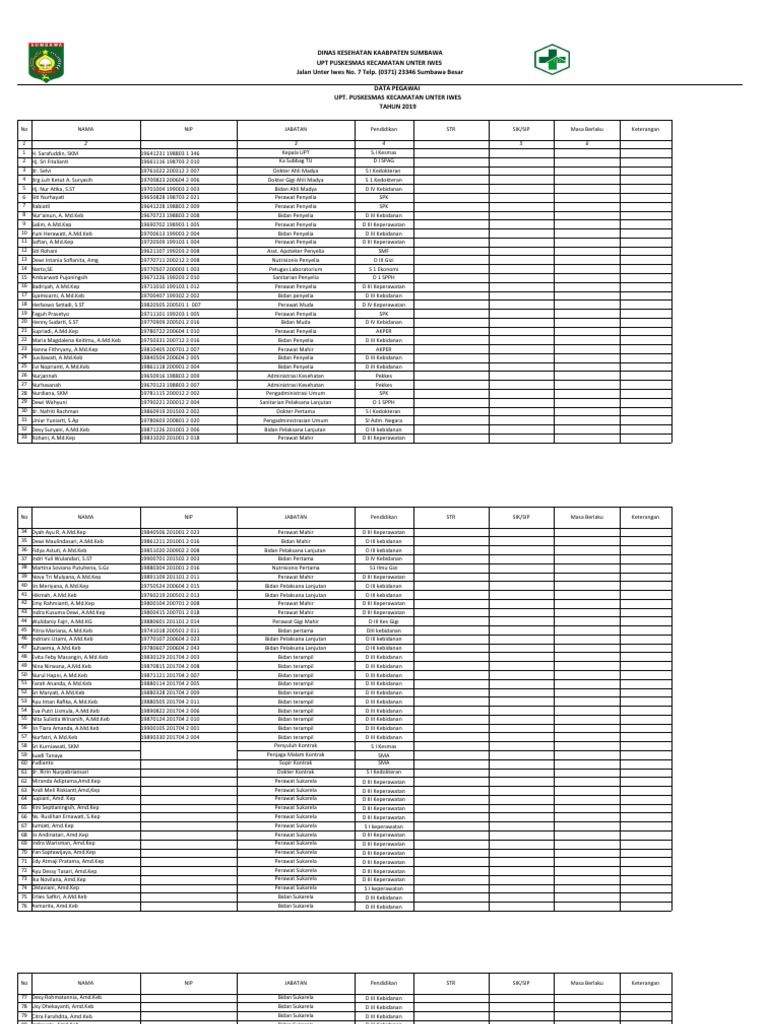 Data Pegawai Puskesmas 2019 | PDF