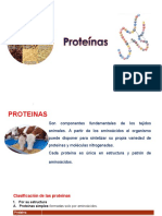 Clase 1 Proteínas - Nutrición Animal 2021 F2