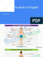 Parts of The Body in English and Urdu