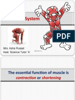 Muscular System: Mrs. Asha Russel Asst. Science Tutor A'