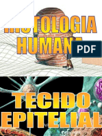 Histologia Humana