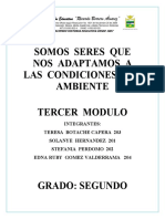 Tercer Periodo Modulo Grado Segundo 2021