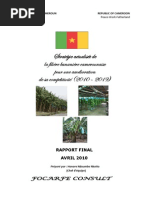 Download Stratgie filire banane Cameroun 2010-2019 final  mis en forme by Paul Jeangille SN52346183 doc pdf