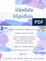 Glandula Hipofisis