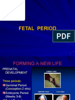 Fetal Development from Weeks 9-38: The Fetal Period