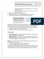 Instalación de frutales: factores clave para el éxito