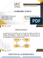 Riesgo Biomecanico